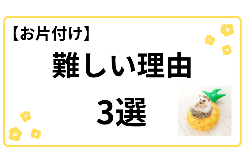 お片付け　難しい理由　3選