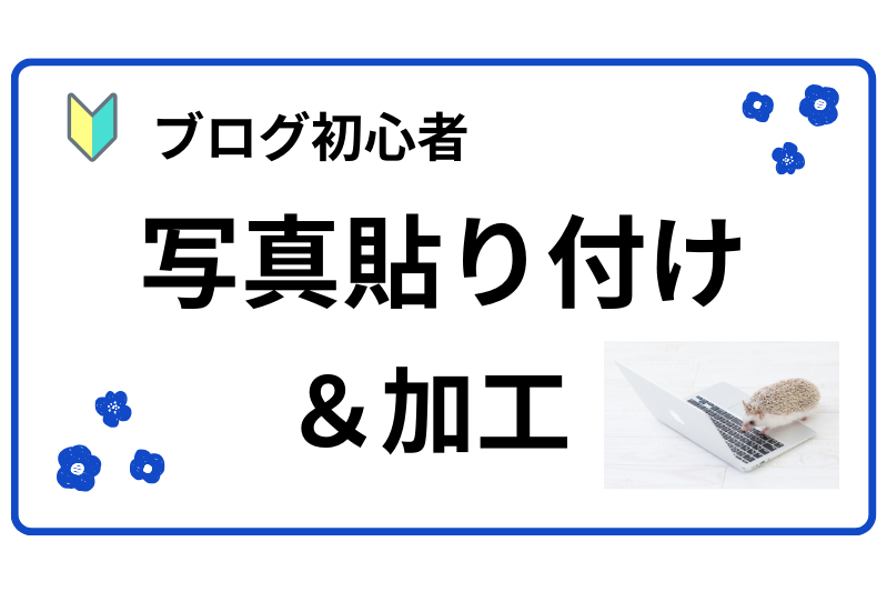 ハリネズミがパソコンを触っている